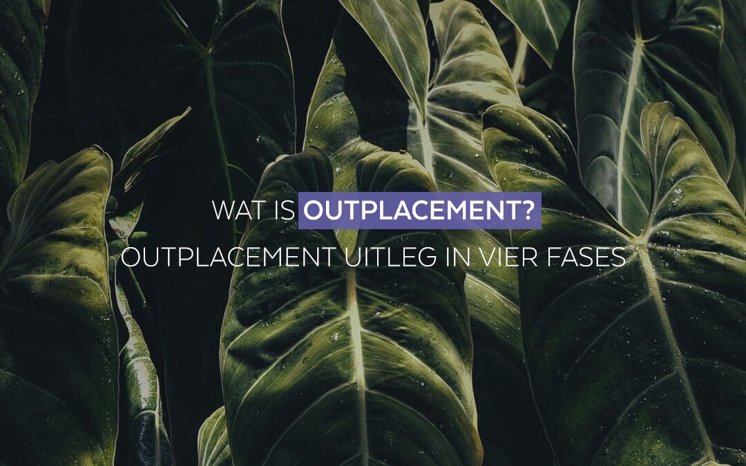 Wat is outplacement? Outplacement uitleg in vier fases